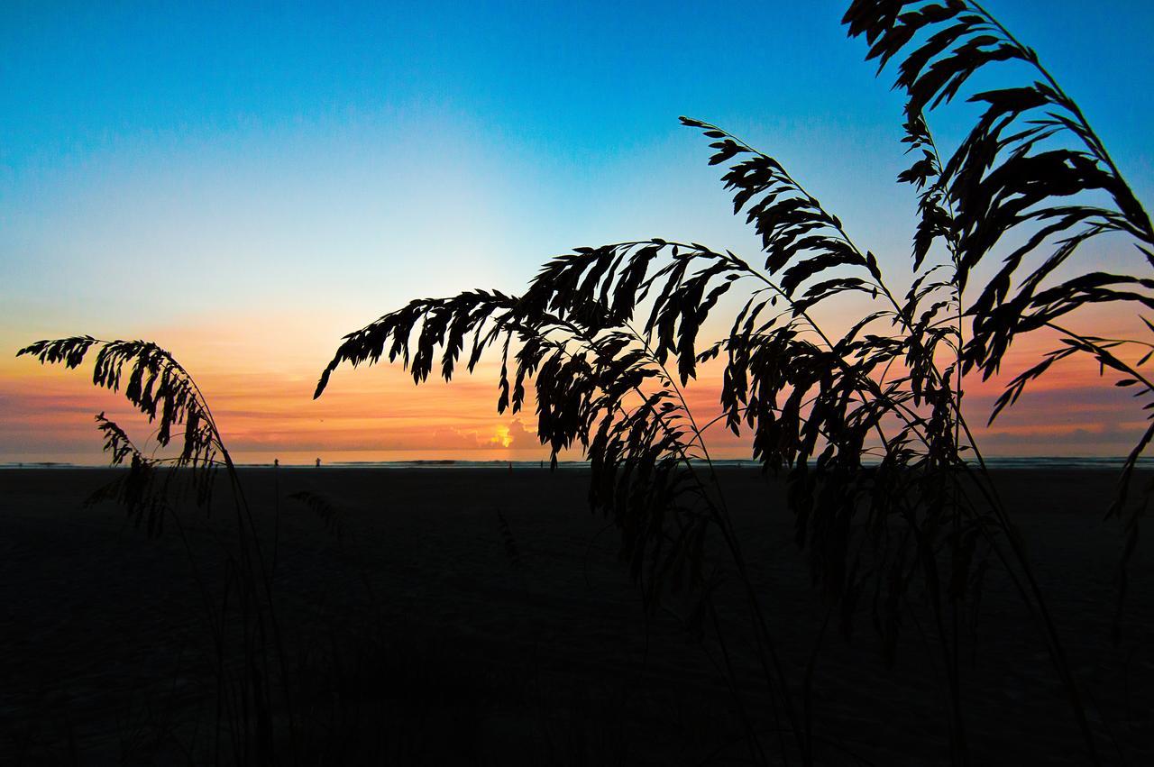 Guy Harvey Resort On Saint Augustine Beach Esterno foto